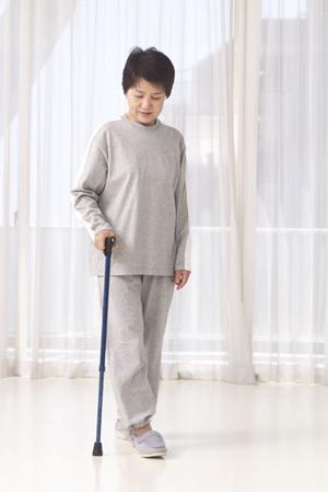 茂原市で信頼できるインプラント治療を見つける！安心と満足の歯科医院ガイド